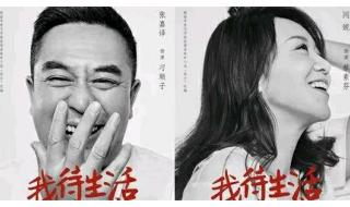 闫妮张嘉译主演的新剧