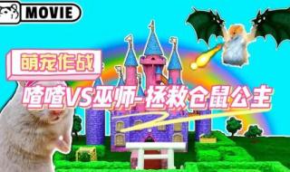 为什么家养的仓鼠蚂蚁庄园