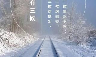 大雪节气意味着仲冬来临
