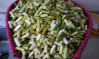 腌蒜苔怎么腌好吃又脆