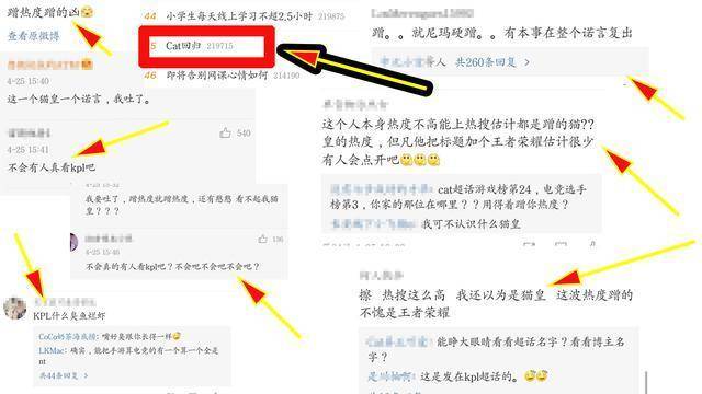 如何在DY真人评论接单领域脱颖而出，实用攻略与深度解析