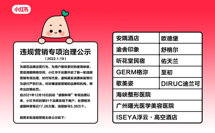 解锁小红书流量密码，从0到万粉的实战进阶指南