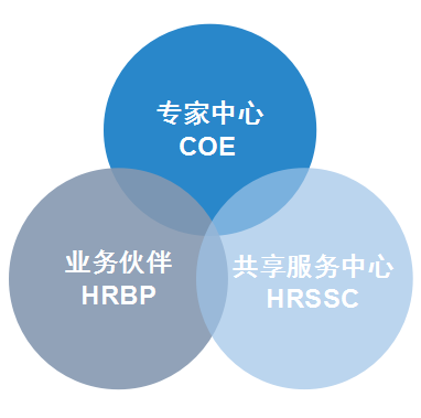 全天候在线下单攻略，解锁DY业务高效便捷的数字化体验