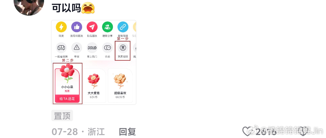 掌握DY自定义评论下单平台，从入门到精通的完整攻略
