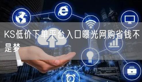 探秘KS低价下单平台，超值入口与业务攻略全解析