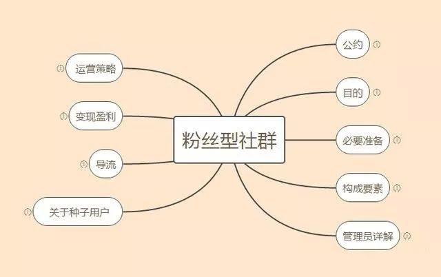 粉丝经济新玩法，如何高效利用粉丝下单链接实现双赢