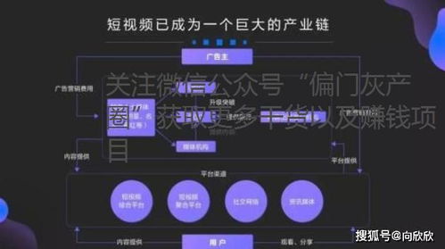 抖音业务在线下单秒到账，解锁高效运营的全方位攻略