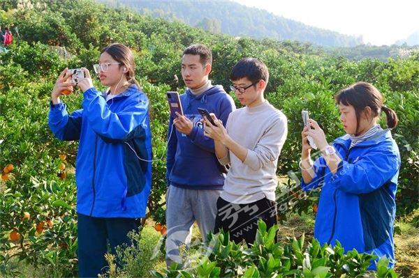 快手业务24小时在线下单平台免费攻略