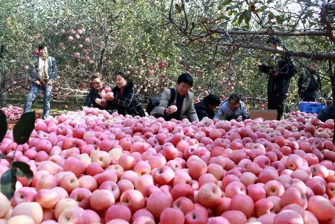 解锁QQ社交新姿势，手把手教你玩转名片点赞，打造高人气个人品牌！