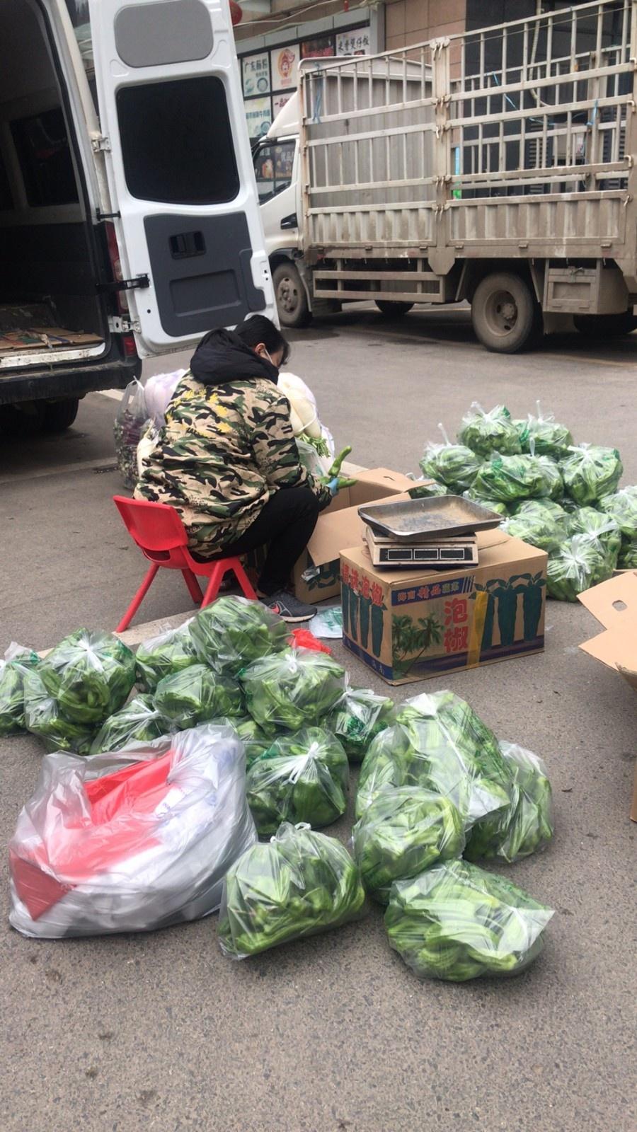 自助下单平台全攻略，从入门到精通的实战手册
