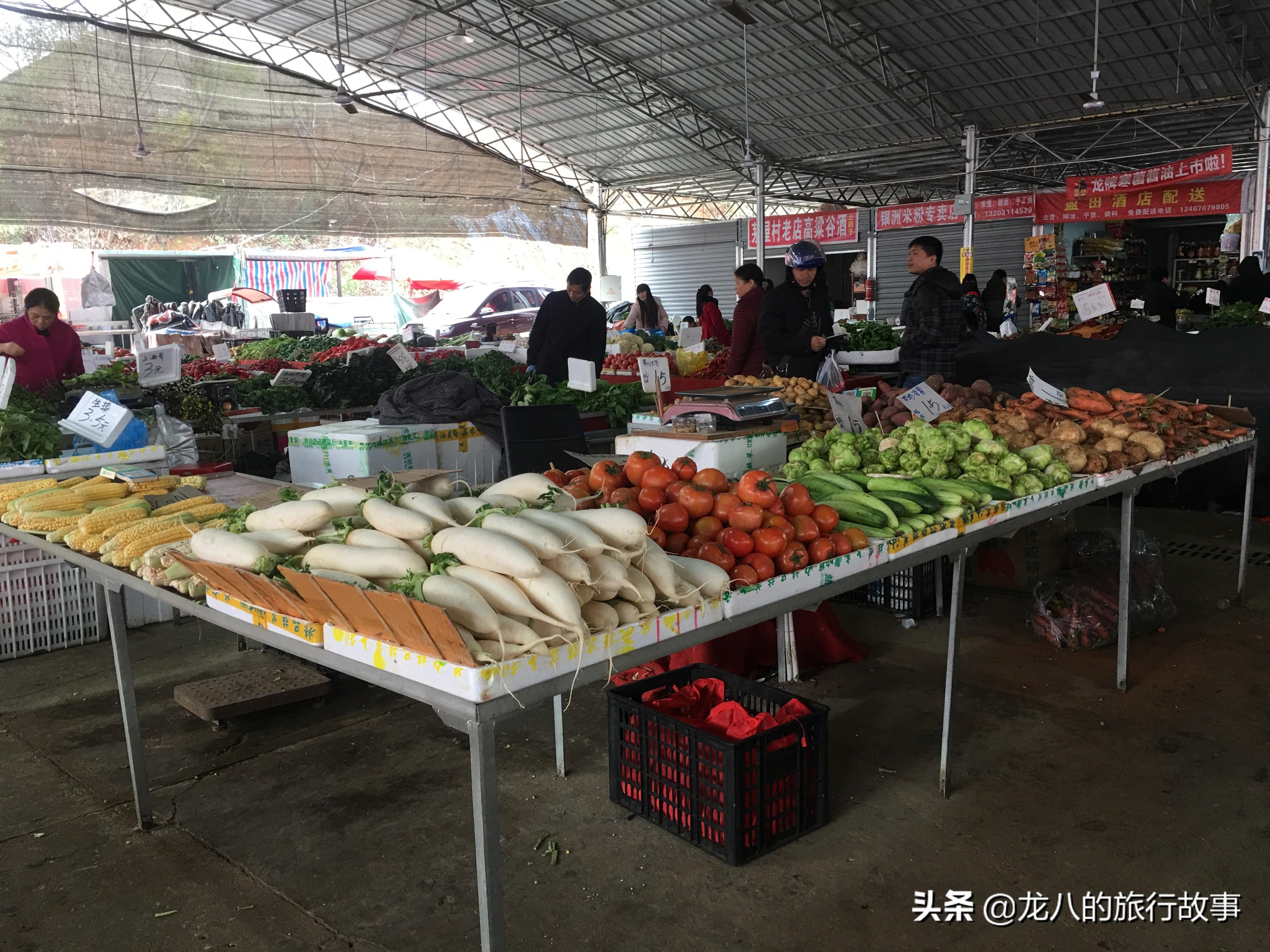 自助下单平台全攻略，从入门到精通的实战手册